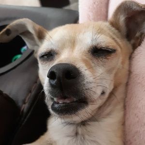 Meet your Posher, Beatriz